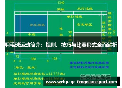 羽毛球运动简介：规则、技巧与比赛形式全面解析