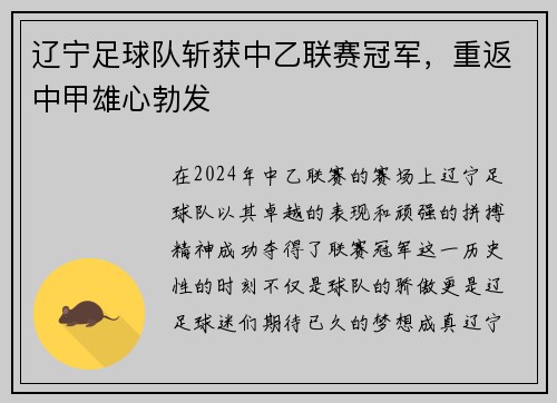 辽宁足球队斩获中乙联赛冠军，重返中甲雄心勃发