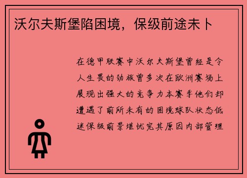 沃尔夫斯堡陷困境，保级前途未卜
